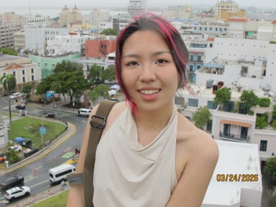 Room wanted in Long Island City, Queens, NY Main Photo