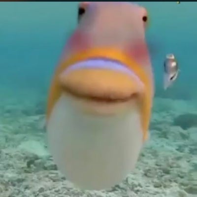 Room wanted in Riverside Main Photo