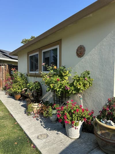 Downtown Mountain View Main Photo