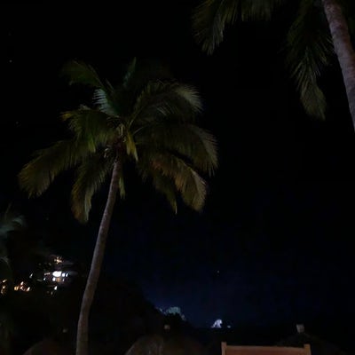 27 year old male looking for Los Angeles room Main Photo