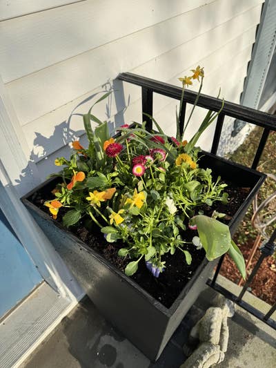 Room wanted in White Plains, NY Main Photo