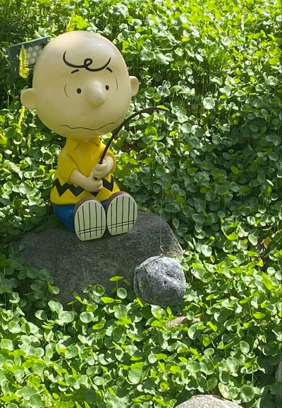 Female looking for a room in Redondo Beach Main Photo