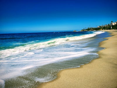 Woman needs room in Mission Viejo area now Main Photo