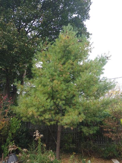 Room in Shared House Main Photo