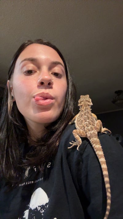 Room wanted in Purchase, NY Main Photo