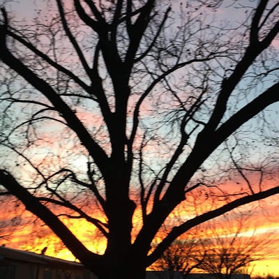 Room wanted in Denton, TX Main Photo