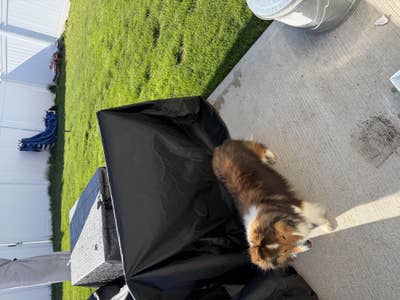 Room wanted in Uniondale, New York Main Photo