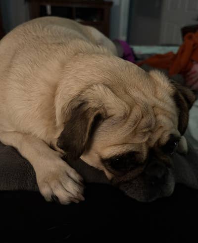 Professional woman and teen looking  Main Photo