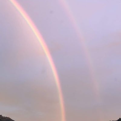 Room wanted in Las Vegas Main Photo