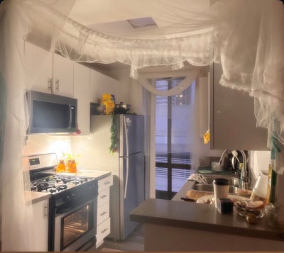 Looking for a creative female roommate ! Main Photo