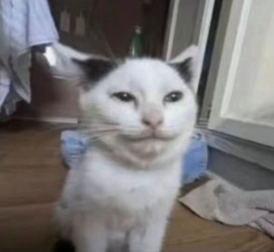 Room wanted in Riverside Main Photo