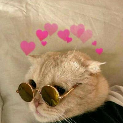 Room wanted in Miami Beach, FL Main Photo