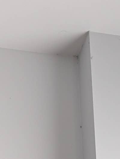 Room wanted in Gwynn Oak, MD Main Photo