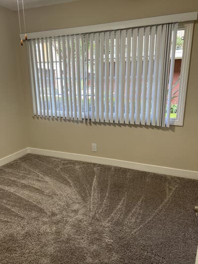 Female Roommate Wanted! Main Photo