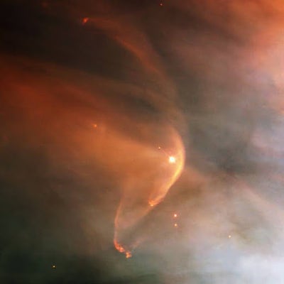 25 year old looking for a room in Los Angeles Main Photo