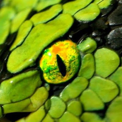 Room wanted in Plano, TX Main Photo