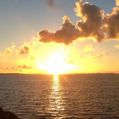 Room wanted in Tuckahoe, NY Main Photo