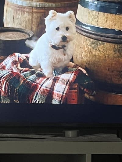 Room wanted in Lakeside, CA Main Photo