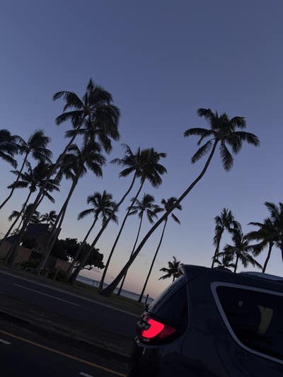 Room wanted in Purchase, NY Main Photo