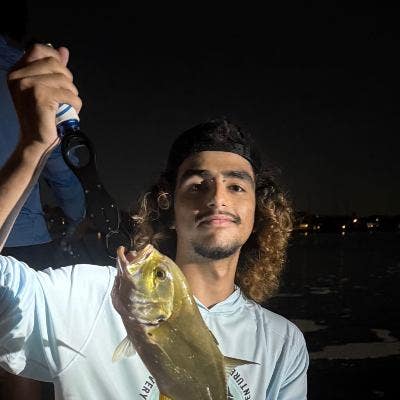 Looking for reliable roommate Main Photo