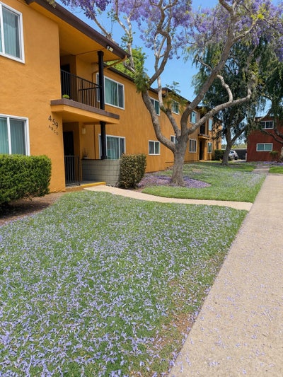 Apartment for rent  Main Photo