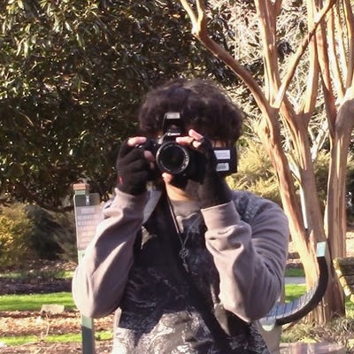 Room wanted in Boston Main Photo