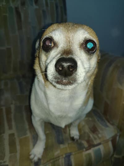 Room for rent. Main Photo