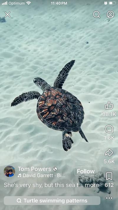 Room wanted in New Jersey Main Photo