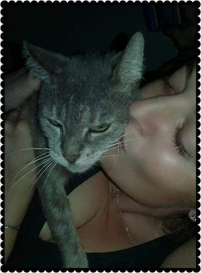 Quiet & Friendly Christian Couple(need place asap) Main Photo