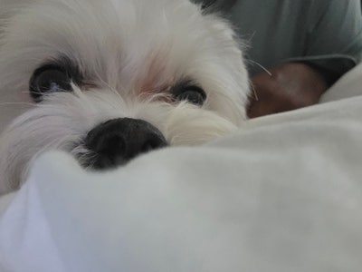 37 year old woman searching for LA room now Main Photo