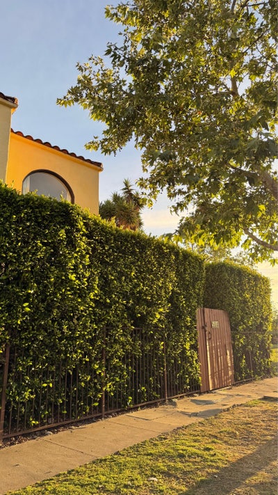 2BR/1B dreamy mid city apartment  Main Photo