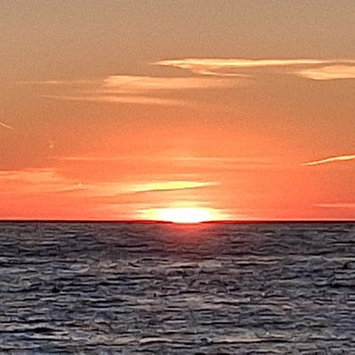 Room wanted in Jersey City, NJ Main Photo