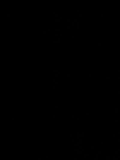 Room wanted in Jersey City, NJ Main Photo