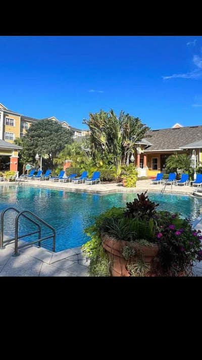 Large 1BR S Tampa Condo Available August 1 2023 Main Photo