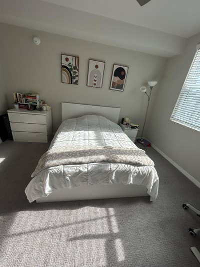Female Roommate for 2x2 in Coral Gables Main Photo