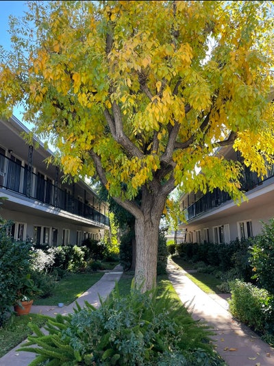 Cozy 2 bed 1 bath  Main Photo