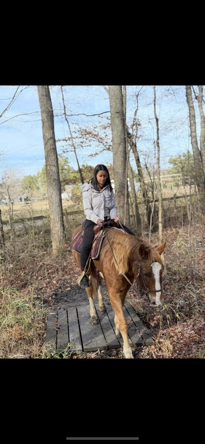 Room wanted in Staten Island, NY Main Photo