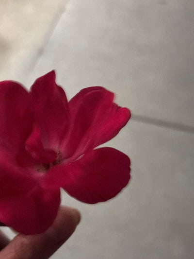 Room wanted in Seaside, Monterey County, CA Main Photo