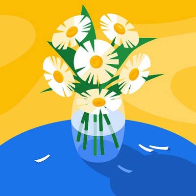 Room wanted in Houston Main Photo