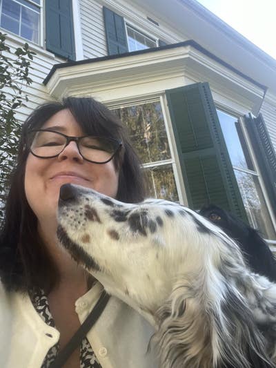 Room wanted in New York Main Photo