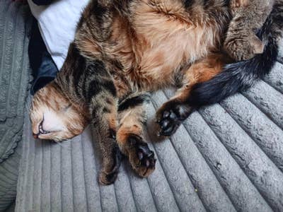 Im responsible respectful and clean. Im 43 ye... Main Photo