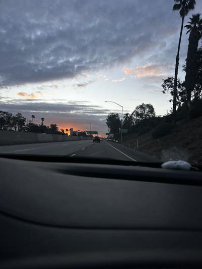 37 year old male looking for Hollywood room Main Photo