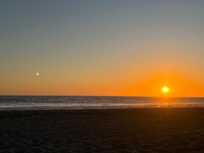 Responsible person looking for Winnetka room Main Photo