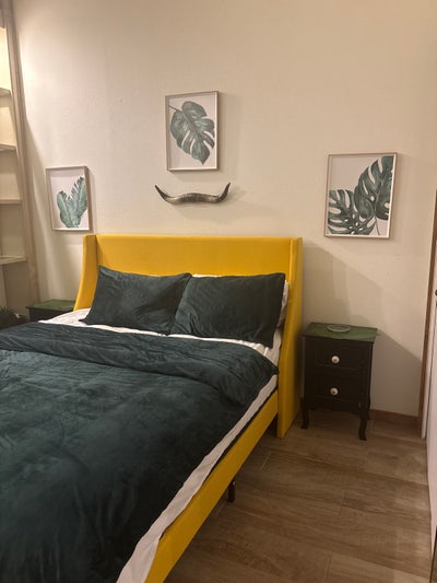 Looking for a roommate! Great place.  Main Photo