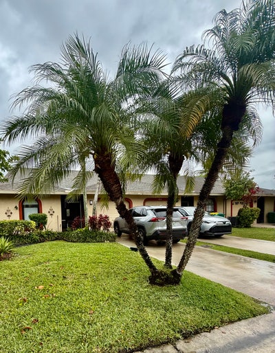 HabitaciÓN En Alquiler En Tamarac-900  Main Photo