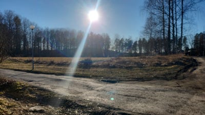 39 year old male looking for a room in LA Main Photo