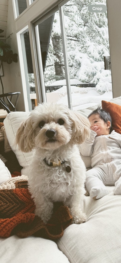 Mom of two and dog looking for Cerritos home Main Photo