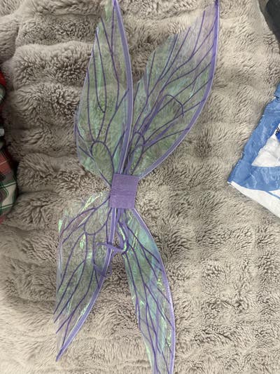 25 year old female looking for room in LA Main Photo