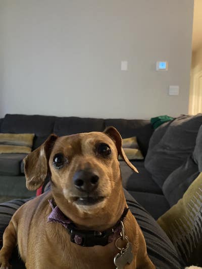 Room wanted in NYC Main Photo