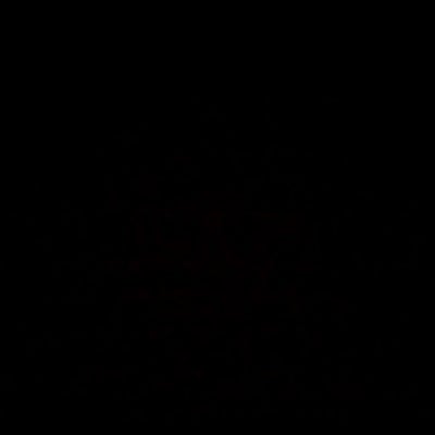 Room wanted in Brooklyn, NY Main Photo